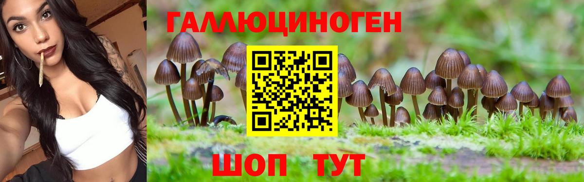 Псилоцибиновые грибы Cubensis  Галлюциногенные грибы Cubensis  Ковров  Вход с VPN 